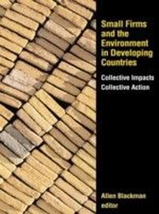 Small Firms and the Environment in Developing Countries