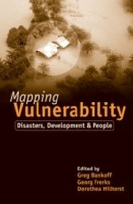 Mapping Vulnerability main product photo