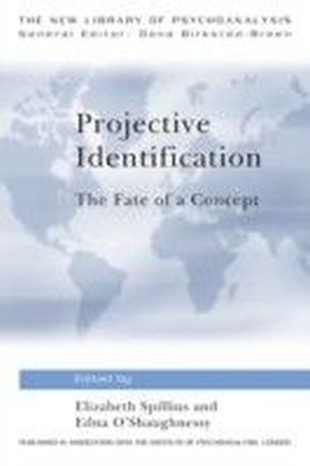 Projective Identification main product photo