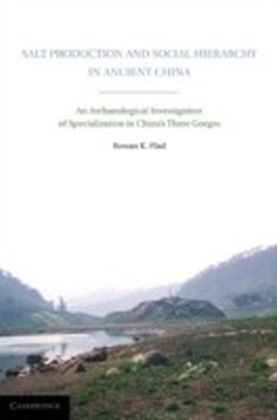 Salt Production and Social Hierarchy in Ancient China