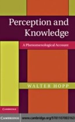Perception and Knowledge