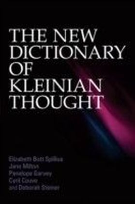 New Dictionary of Kleinian Thought main product photo