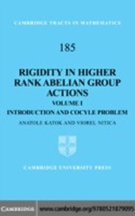 Rigidity in Higher Rank Abelian Group Actions main product photo