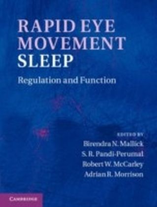 Rapid Eye Movement Sleep
