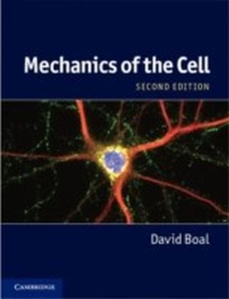 Mechanics of the Cell