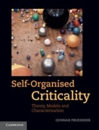 Self-Organised Criticality main product photo