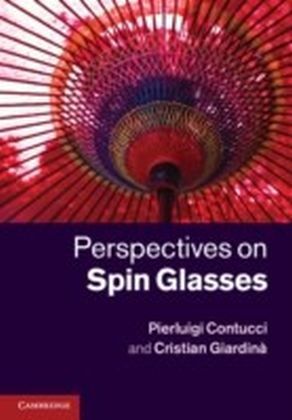 Perspectives on Spin Glasses main product photo