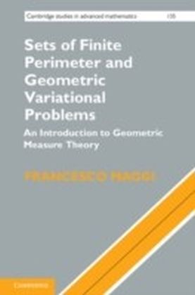 Sets of Finite Perimeter and Geometric Variational Problems