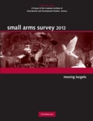 Small Arms Survey 2012