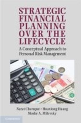 Strategic Financial Planning over the Lifecycle main product photo