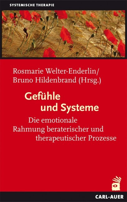 Gefühle und Systeme main product photo