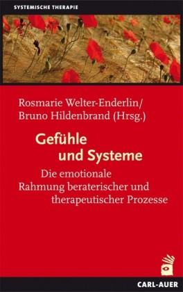 Gefühle und Systeme