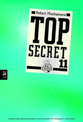 Top Secret 11 - Die Rache