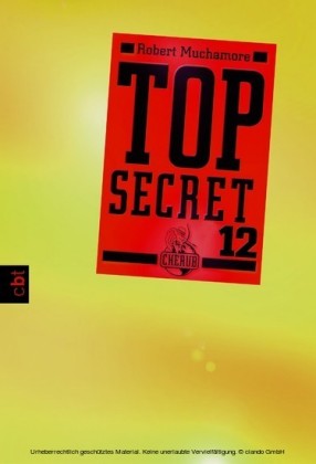 Top Secret 12 - Die Entscheidung