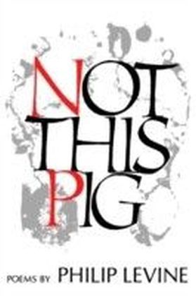 Not This Pig