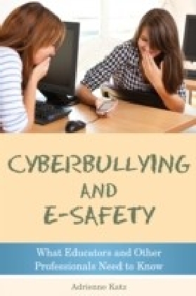 Cyberbullying and E-safety main product photo
