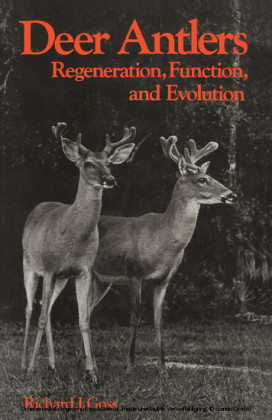 Deer Antlers