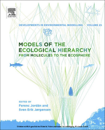 Models of the Ecological Hierarchy