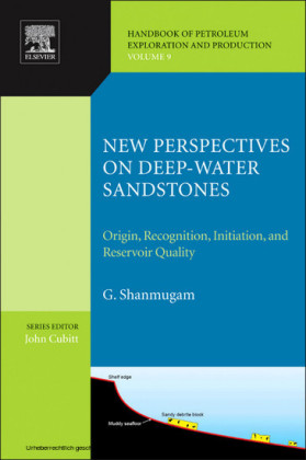New Perspectives on Deep-water Sandstones
