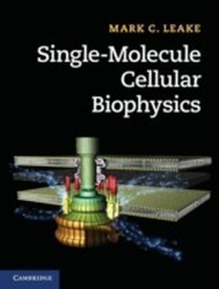 Single-Molecule Cellular Biophysics