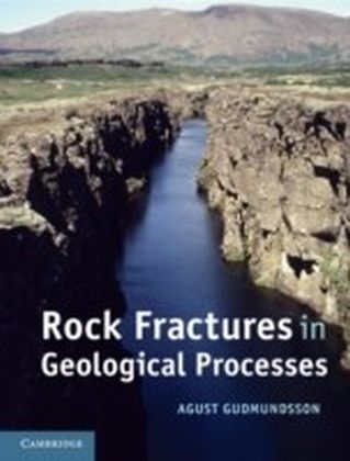 Rock Fractures in Geological Processes main product photo