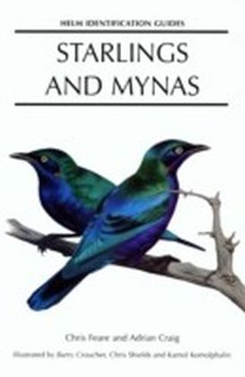 Starlings and Mynas