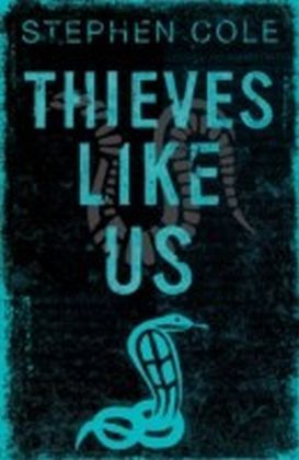 Thieves Like Us main product photo