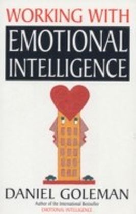 Working with Emotional Intelligence main product photo