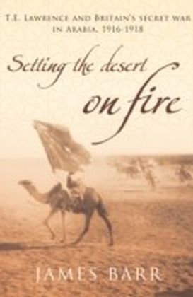 Setting the Desert on Fire main product photo