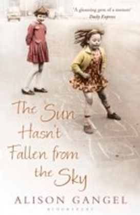 Sun Hasn't Fallen From the Sky