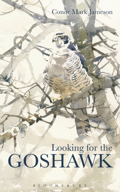 Looking for the Goshawk main product photo