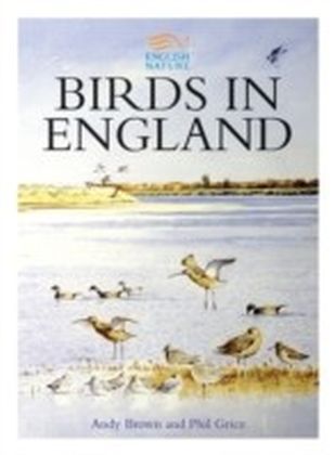 Birds in England main product photo