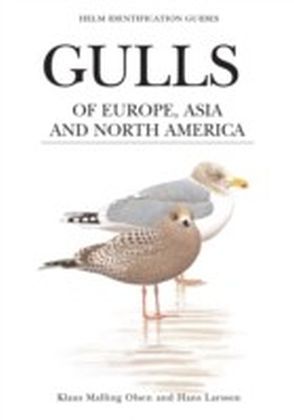 Gulls of Europe, Asia and North America main product photo