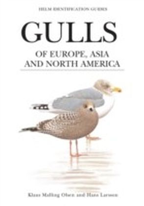Gulls of Europe, Asia and North America