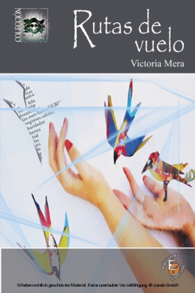 Rutas de vuelo