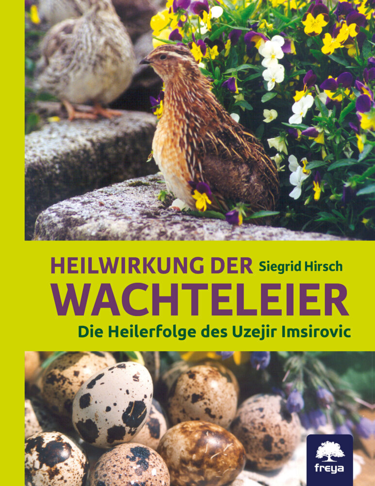Heilwirkung der Wachteleier main product photo