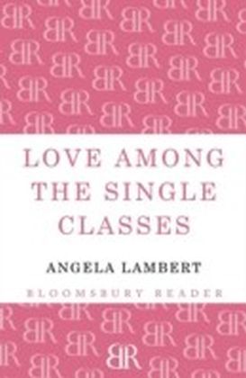 Love Among the Single Classes main product photo