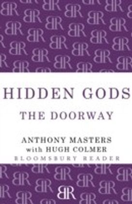 Hidden Gods main product photo