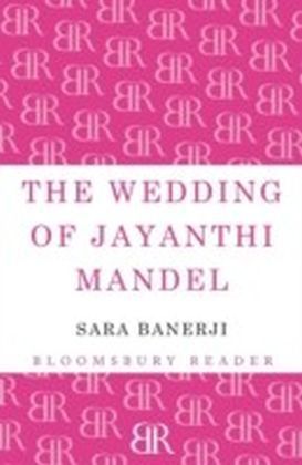 Wedding of Jayanthi Mandel main product photo