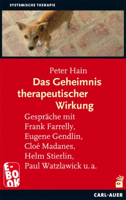 Das Geheimnis therapeutischer Wirkung main product photo