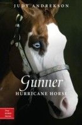 Gunner main product photo