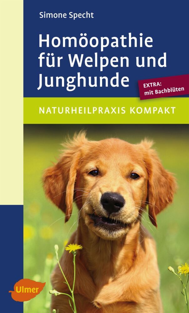 Homöopathie für Welpen und Junghunde main product photo