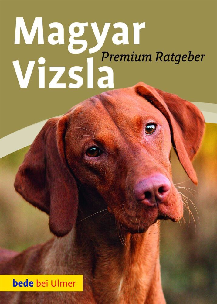 Magyar Vizsla main product photo