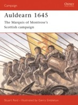 Auldearn 1645 main product photo