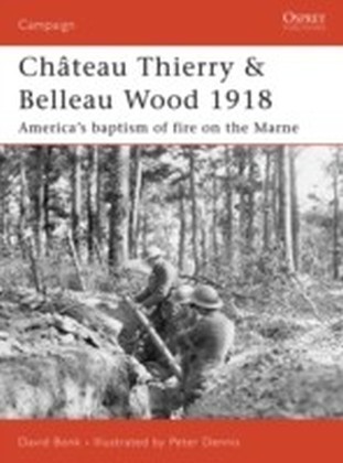Chateau Thierry & Belleau Wood 1918, America's baptism of fire on the Marne