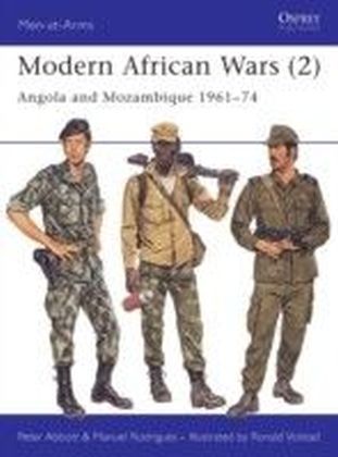 Modern Africa Wars (2)
