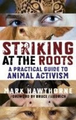 Striking At The Roots: A Practical Gt An
