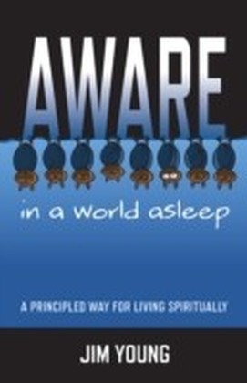 Aware In A World Asleep: A Principled Wa