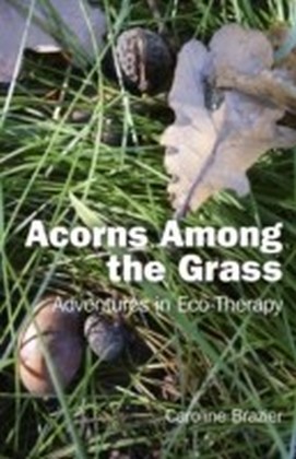 Acorns Among the Grass