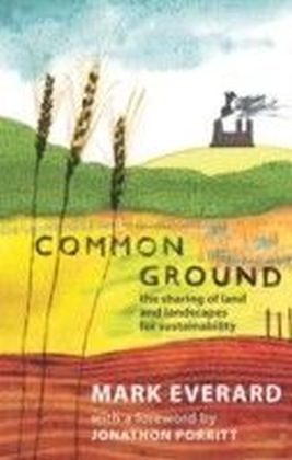 Common Ground main product photo